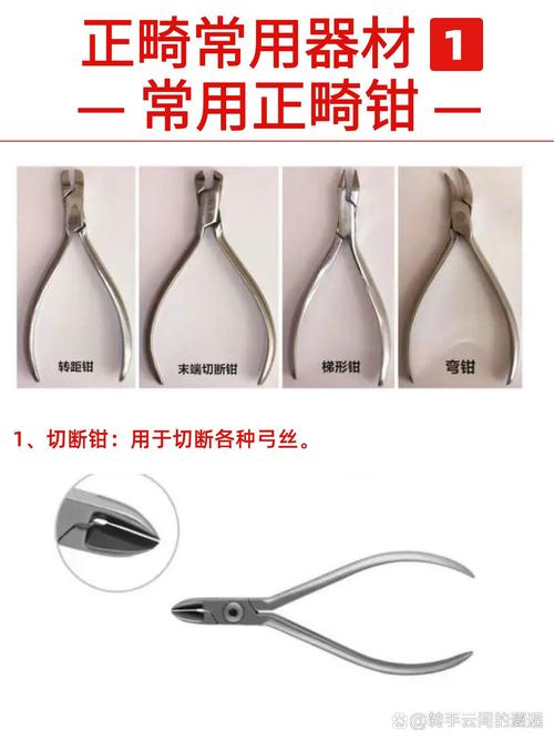正畸牙钳有哪些种类？各自在矫正中起何作用？-图1
