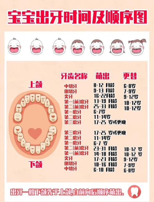 种一颗牙到底要多少时间？不同情况差异大吗？-图2
