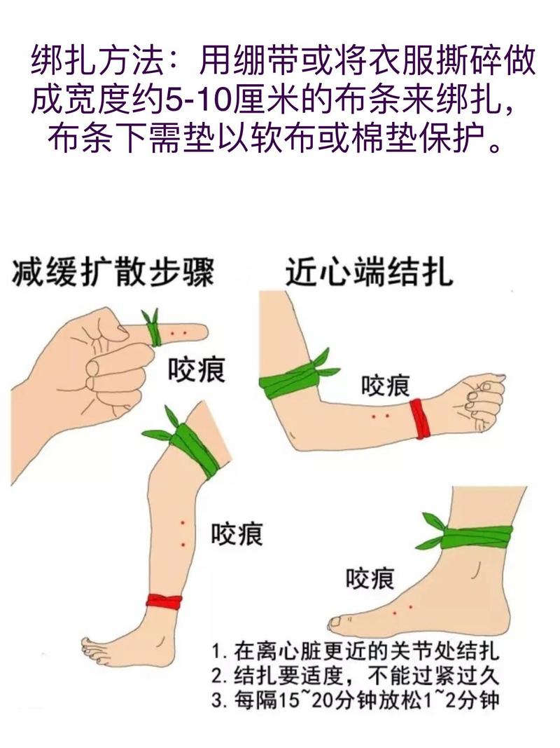 咬合创伤的治疗方法有哪些?-图1 咬合创伤的治疗方法有哪些?-图1