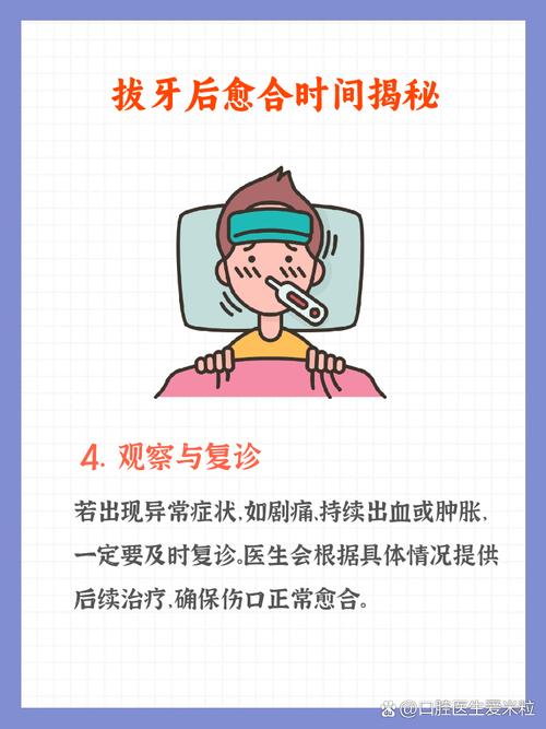 即拔即种牙周期多久-图2 即拔即种牙周期多久-图2