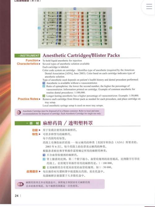 国际英文报道如何解读口腔正畸美学的全球审美差异与技术革新趋势?-图1 国际英文报道如何解读口腔正畸美学的全球审美差异与技术革新趋势?-图1