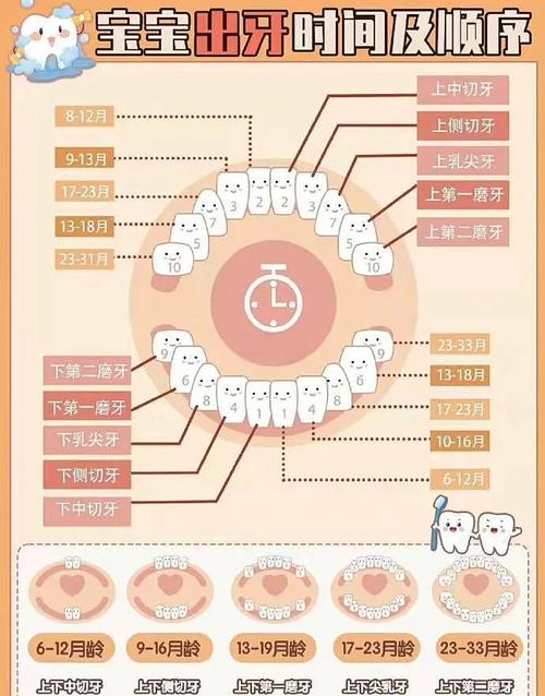 孩子种牙的最佳时间究竟是什么?错过不同年龄段会有哪些发育风险?-图3 孩子种牙的最佳时间究竟是什么?错过不同年龄段会有哪些发育风险?-图3