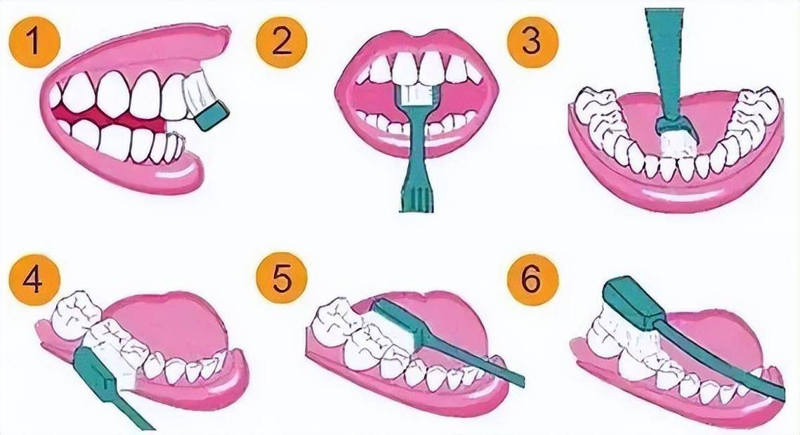 为什么选择动画形式演示正确刷牙方法？它能直观展示哪些手动难以传递的细节，帮助不同人群高效掌握关键技巧？-图2