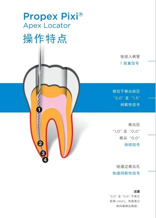 根管测量台使用方法-图3
