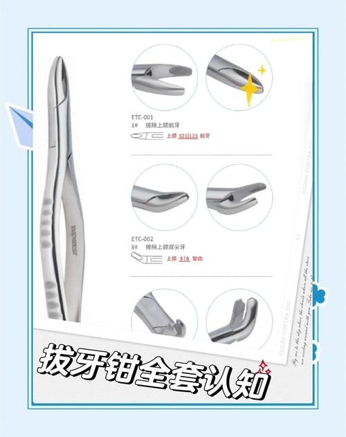拔牙铤子的正确使用方法是什么?新手操作时有哪些关键步骤和需要注意的禁忌?-图1 拔牙铤子的正确使用方法是什么?新手操作时有哪些关键步骤和需要注意的禁忌?-图1