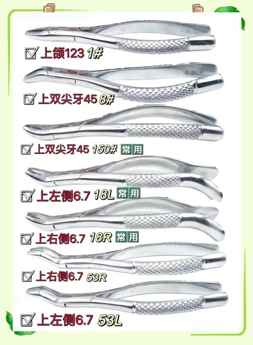 拔牙铤子的正确使用方法是什么？新手操作时有哪些关键步骤和需要注意的禁忌？-图3