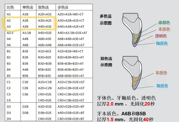 备牙前比色如何确保修复体颜色自然逼真？比色板选择与自然光环境下的关键操作要点是什么？-图1