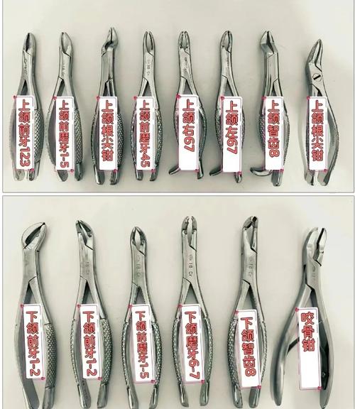 拔牙钳子的正确使用步骤有哪些？不同牙齿类型如何选择合适的拔牙钳子？使用时需注意哪些关键事项？-图1