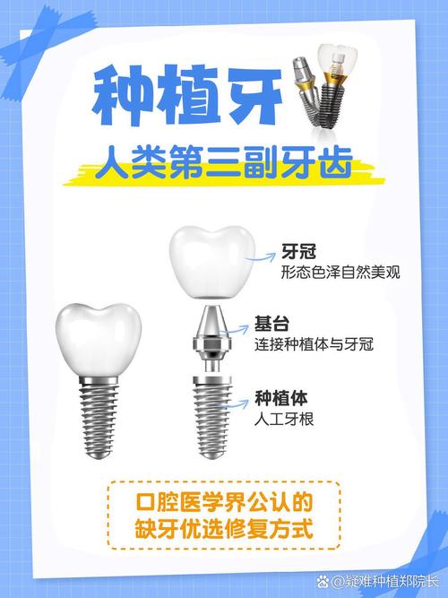 种牙后牙体具体分为哪几种不同类型呢？-图2