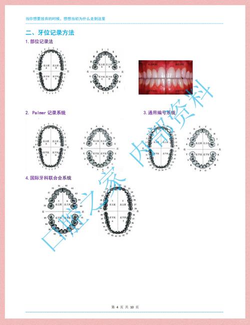 口腔牙列记录方法有哪些？如何正确应用？-图1