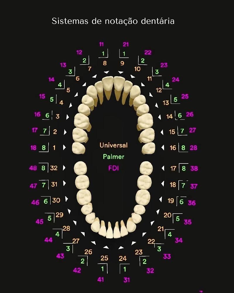 口腔牙列记录方法有哪些？如何正确应用？-图3
