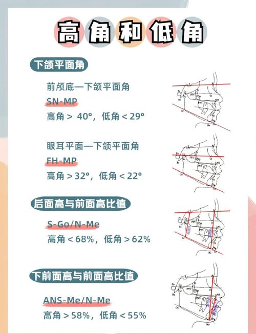 颌平面是什么?其确定方法有哪些关键步骤?-图1 颌平面是什么?其确定方法有哪些关键步骤?-图1
