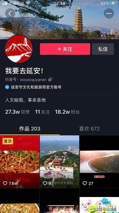 抖音僵尸粉自助下单平台24小时?全网最低价靠谱吗?-图2 抖音僵尸粉自助下单平台24小时?全网最低价靠谱吗?-图2