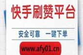 抖音快手真人自助下单点赞平台如何操作？-图2