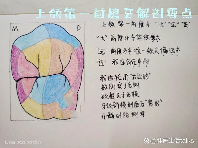 临床上如何有效实现上颌6的压低？-图3