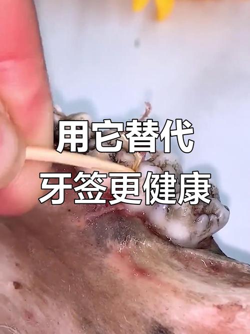 种完牙吃东西总塞牙，是种植体不贴合吗？-图2