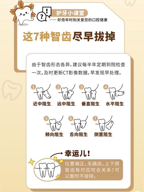 成人智齿拔除方法-图3