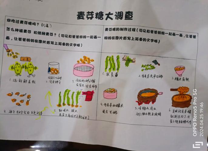 怎么种麦芽？详细方法步骤有哪些？-图2