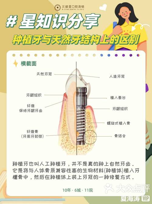 在进行种牙手术时，上颌骨厚度会受到怎样的影响？-图2