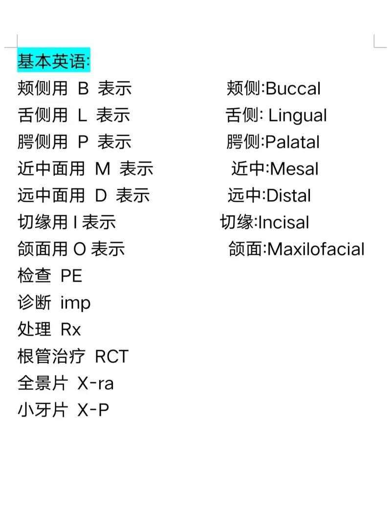 正畸TPA的英文是什么？它的全称又是什么？-图3