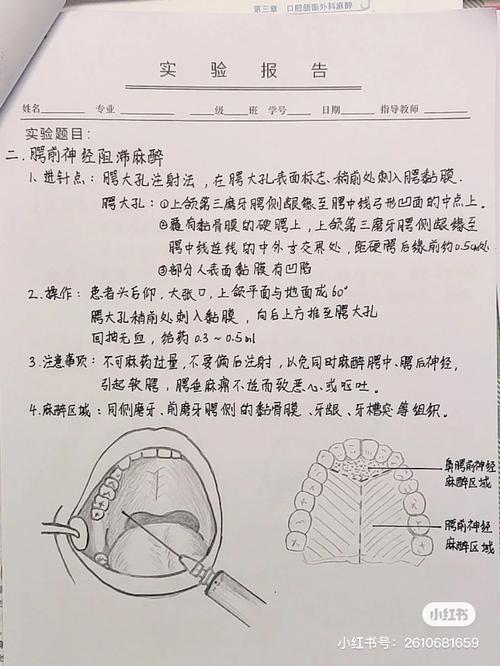 口腔浸润麻醉方法操作需注意哪些关键步骤？-图2
