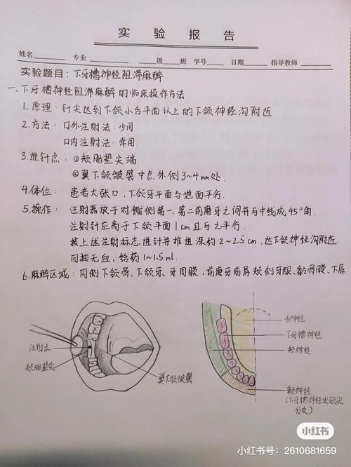 口腔浸润麻醉方法操作需注意哪些关键步骤？-图3