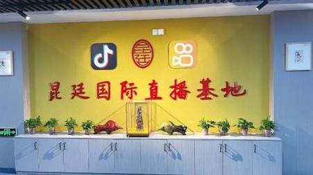 dy直播涨赞、ks赞自助网站24小时超低价靠谱吗？-图1