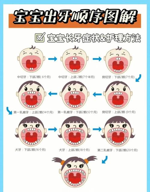 长出新牙有科学方法吗?如何实现牙齿再生?-图2 长出新牙有科学方法吗?如何实现牙齿再生?-图2