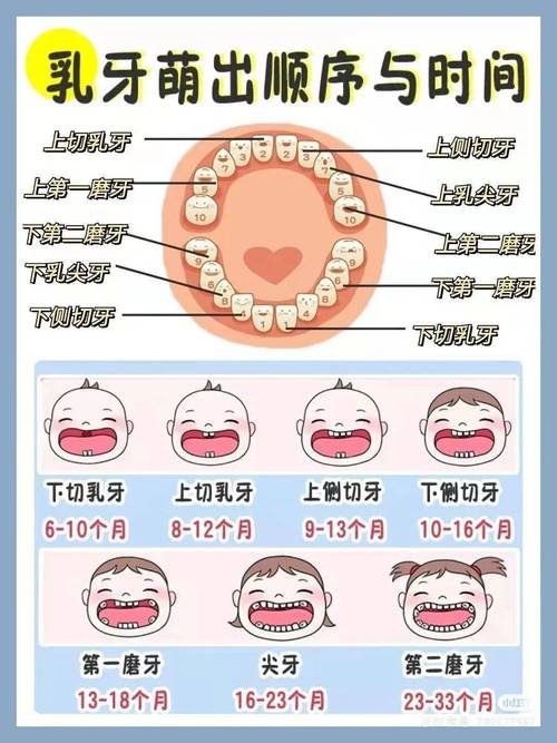 哺乳期能种牙吗？安全注意事项与风险须知-图3