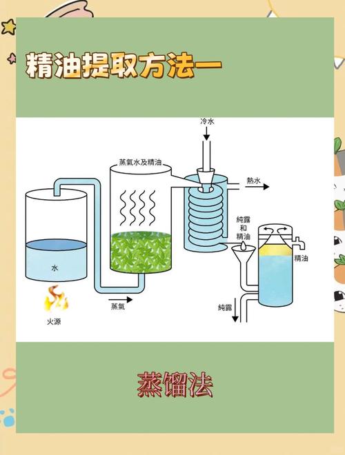 藻酸盐提取方法-图2