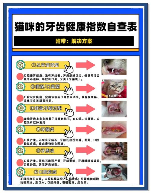 口臭牙治疗方法-图2