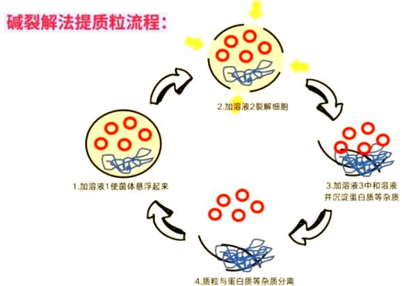 cgf提取方法-图3