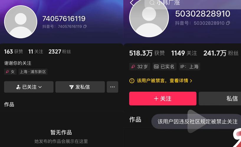 抖音快手自助下单平台，正规低价24小时在线如何选？-图1