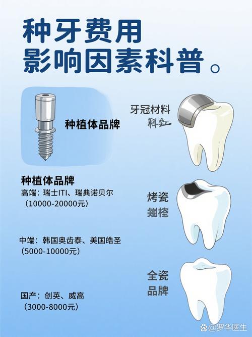 种牙的牙体多少钱-图3 种牙的牙体多少钱-图3