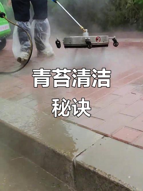 去除苔藓的方法-图2 去除苔藓的方法-图2