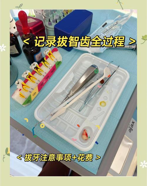 牙根的拔除方法-图2