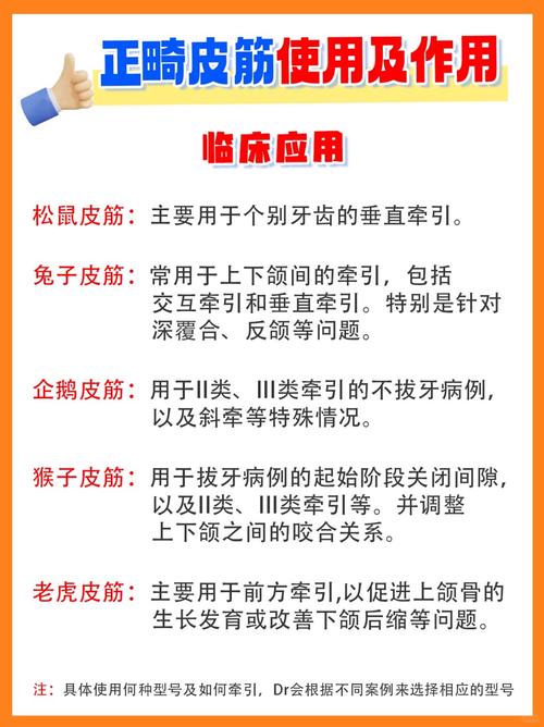 正畸牵引橡皮圈的选用-图2