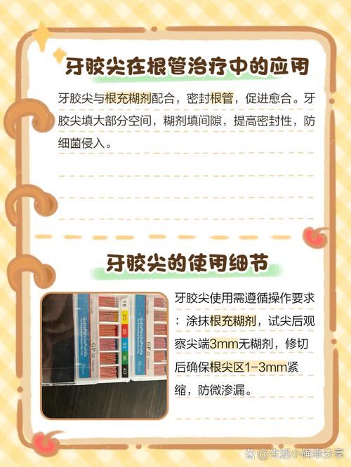 牙胶取出方法-图3