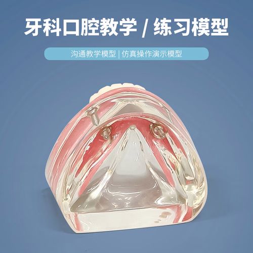 义齿种钉方法-图1