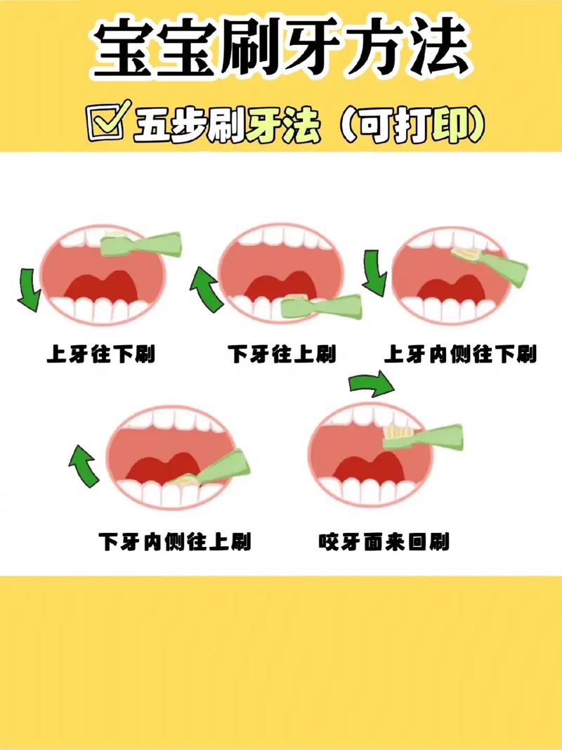 口腔学习方法-图3 口腔学习方法-图3