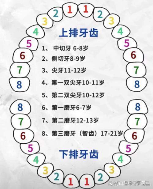 小孩正畸牙齿的最佳矫正年龄是什么时候?-图3 小孩正畸牙齿的最佳矫正年龄是什么时候?-图3