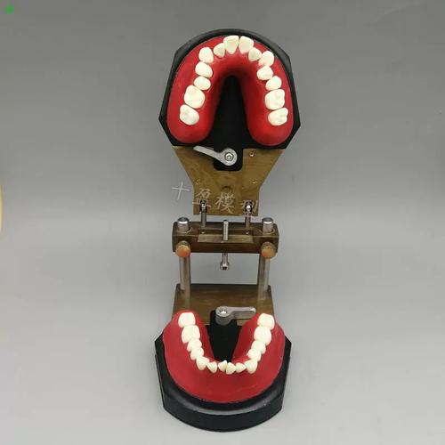 正畸弓丝弯制培训班-图1