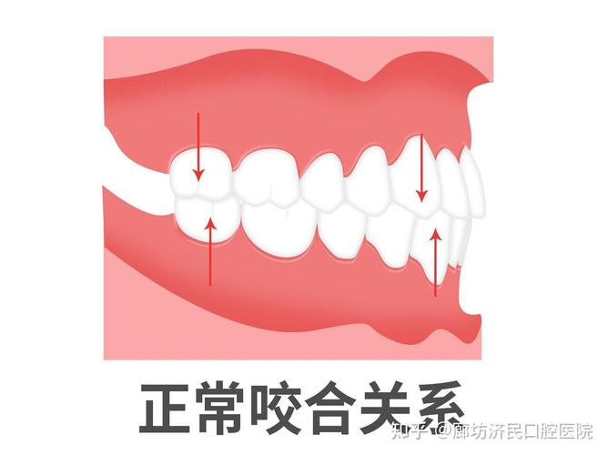 调咬合方法-图3