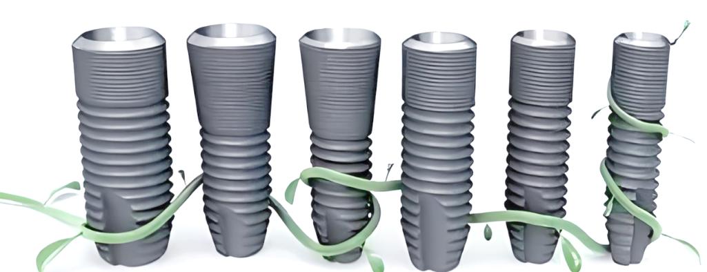 以色列种牙贵么-图3