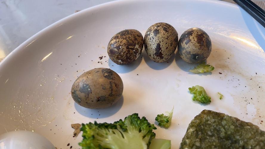 正畸矫治器制作培训-图1