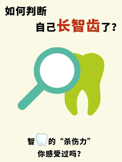 智慧牙可以种吗-图3