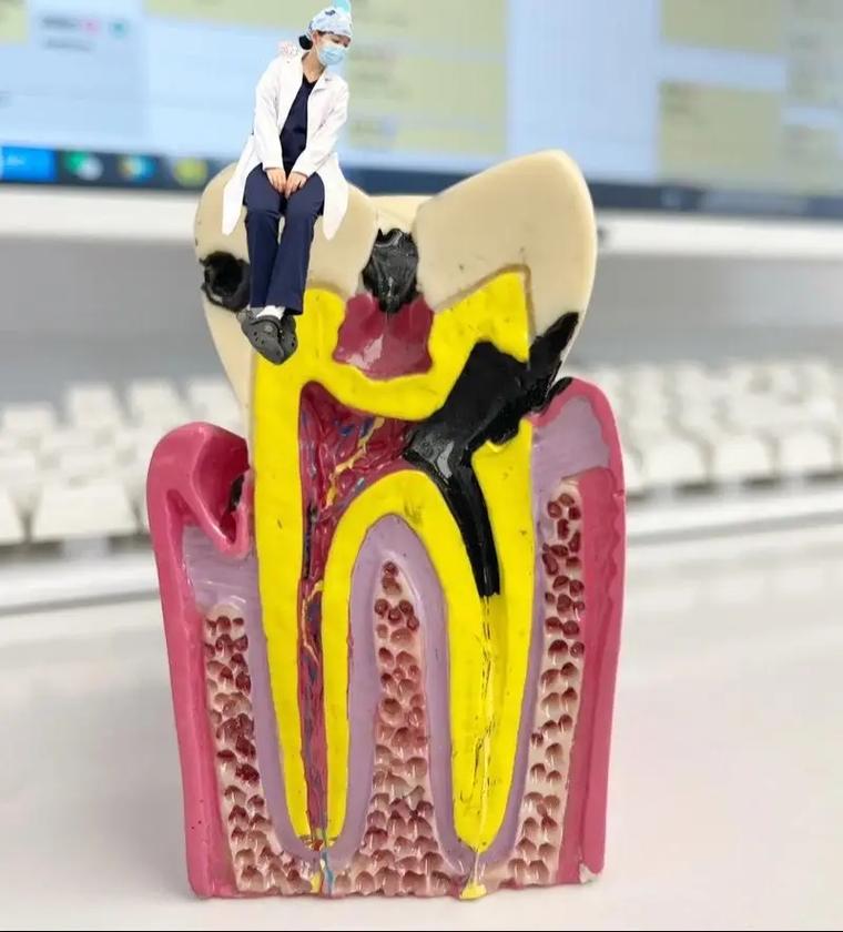 深港公益种牙节是什么？免费种牙如何申请？-图1