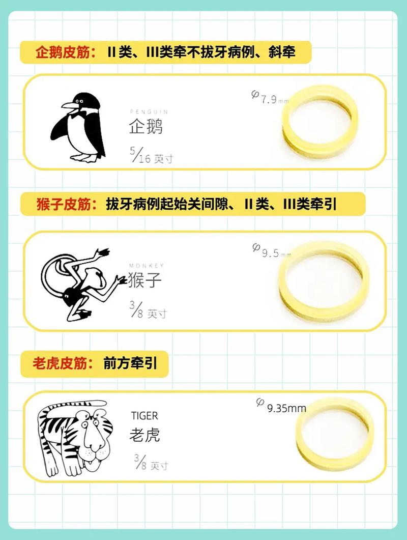 正畸时上下斜拉橡皮圈有何作用？-图1