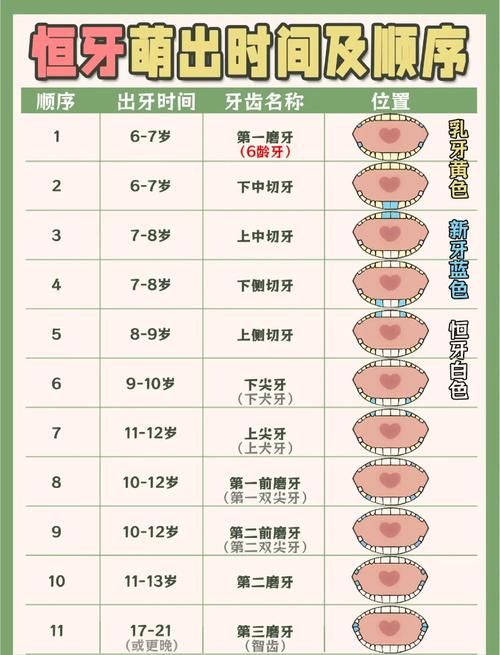 种一颗牙要多久-图2 种一颗牙要多久-图2