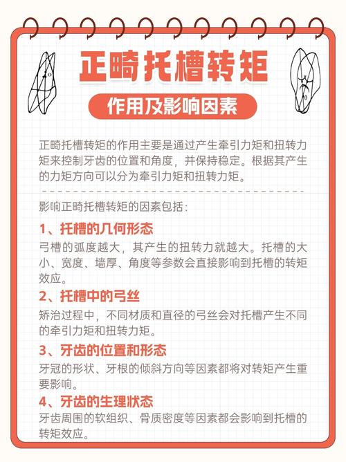 口腔正畸正转距概念-图1